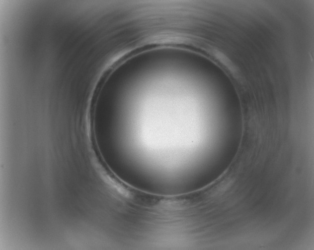 X0000062900840200601131358