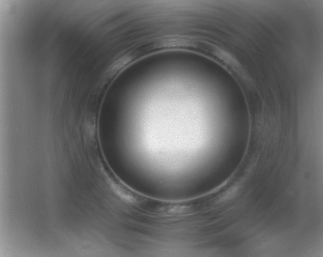 X0000062900841200601131358