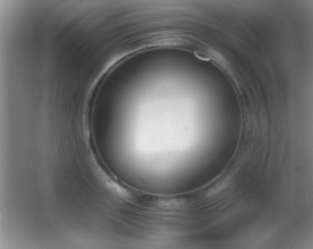 X0000062900843200601131358
