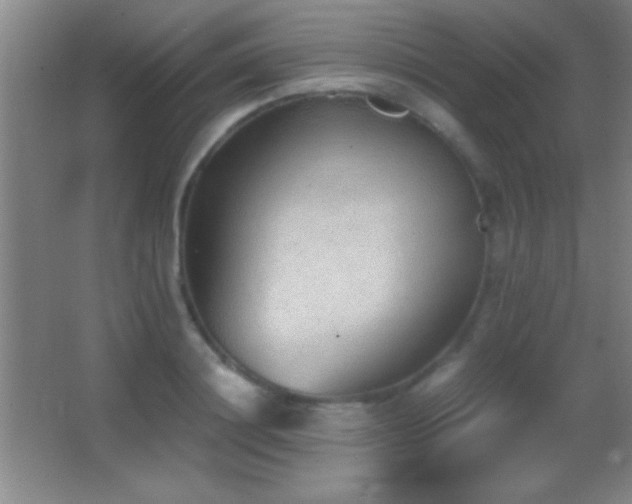 X0000062900844200601131358