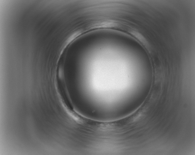 X0000062900850200601131358