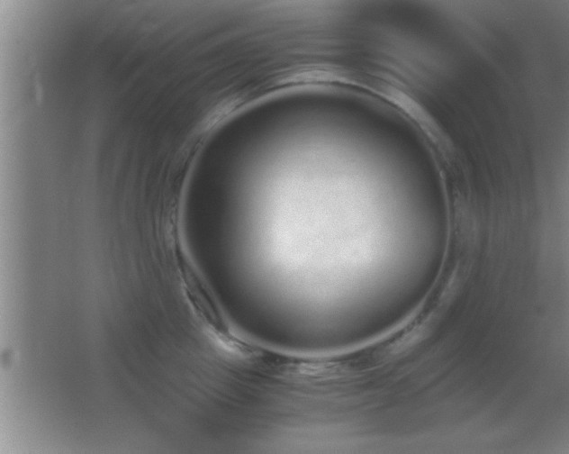 X0000062900857200601131358