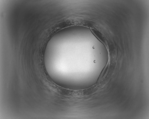X0000062900865200601131358
