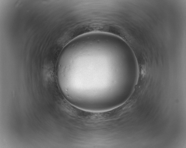 X0000062900867200601131358