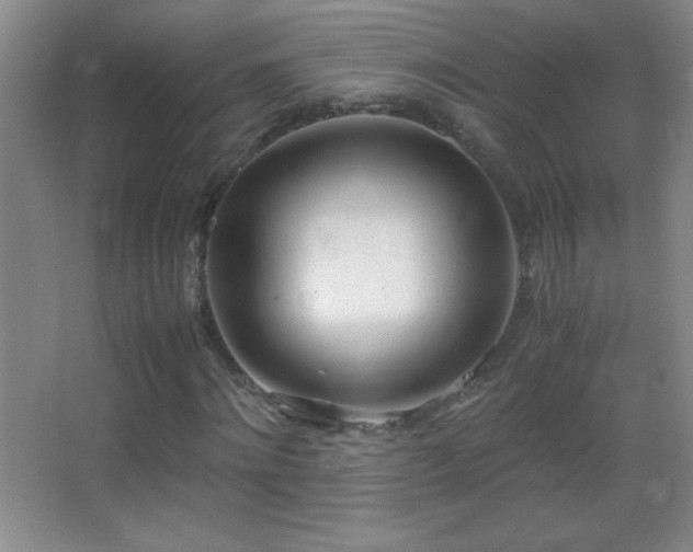 X0000062900868200601131358
