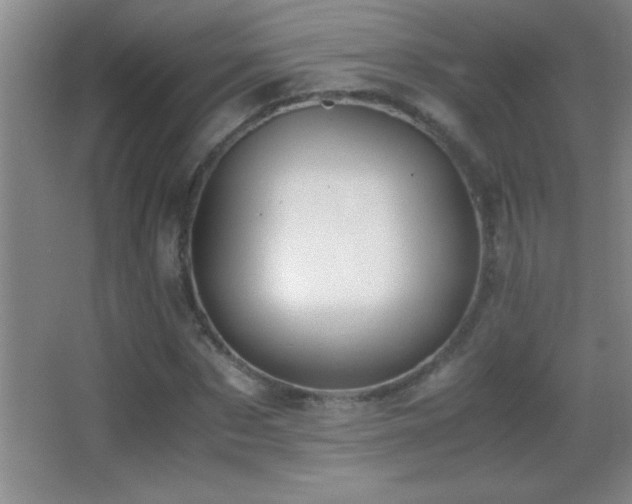 X0000062900873200601131358