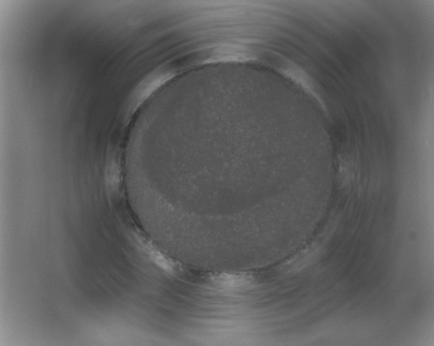X0000062900874200601131358