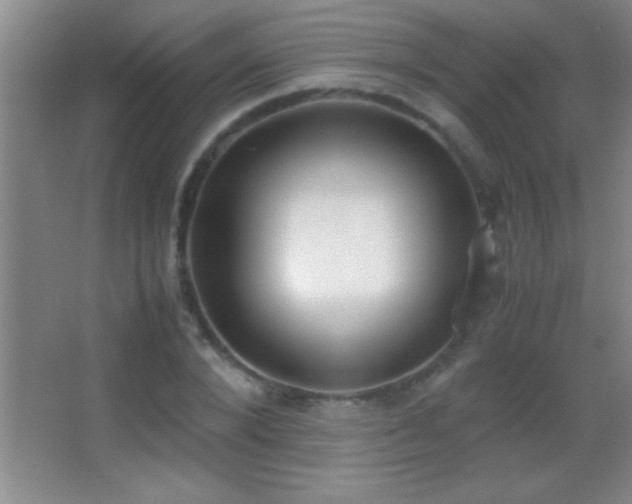 X0000062900880200601131357