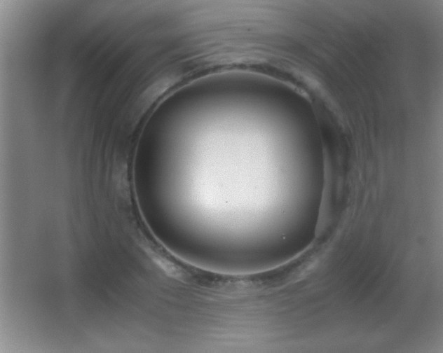X0000062900881200601131357
