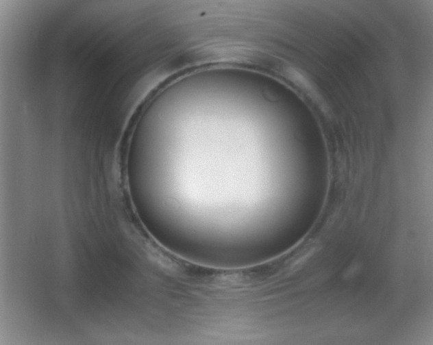 X0000062900883200601131357