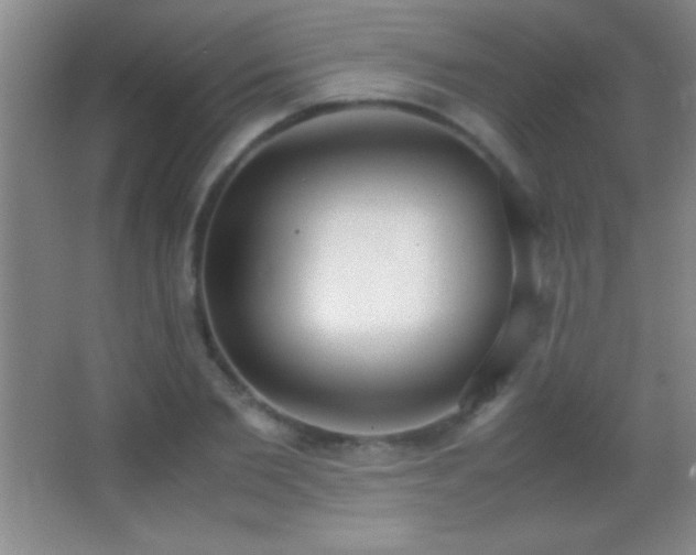 X0000062900885200601131357