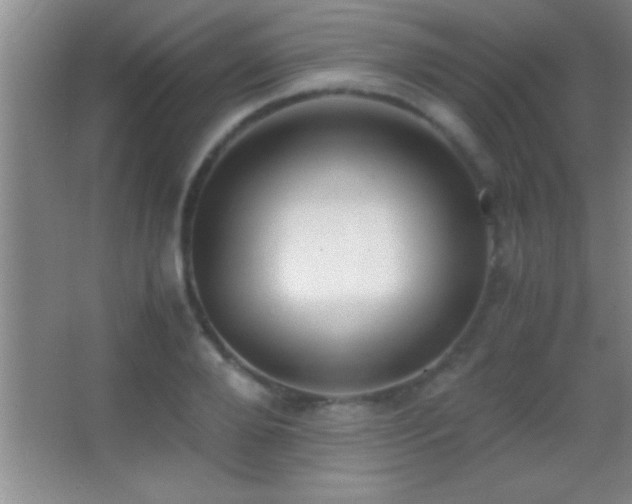 X0000062900888200601131357