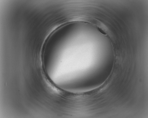 X0000062900892200601131357