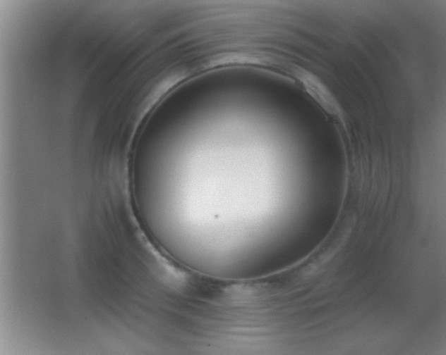 X0000062900898200601131357