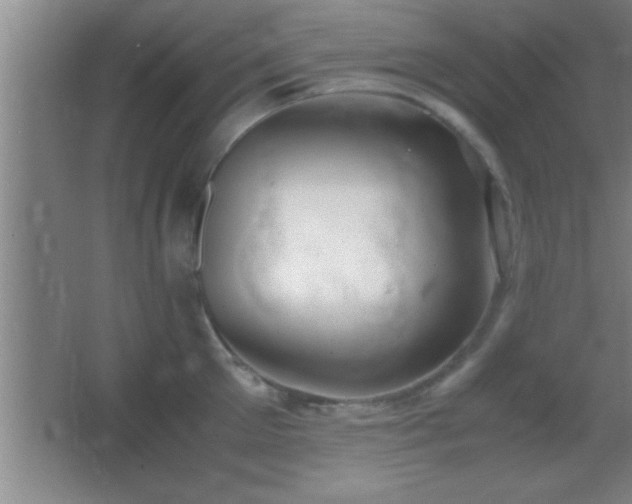X0000062900905200601131357
