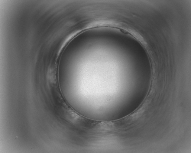 X0000062900912200601131357