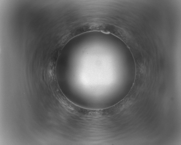 X0000062900914200601131356