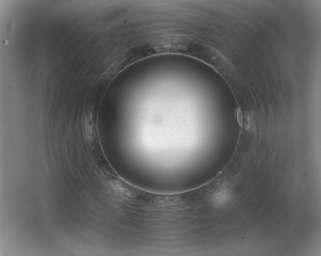 X0000062900915200601131356