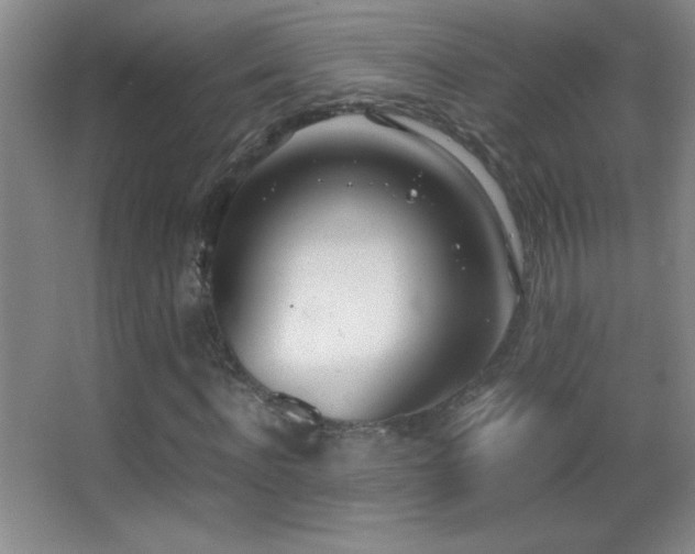 X0000062900916200601131356