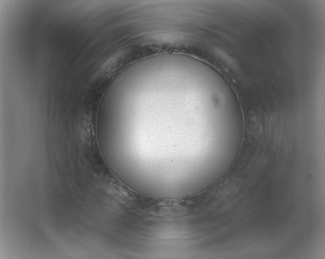 X0000062900918200601131356