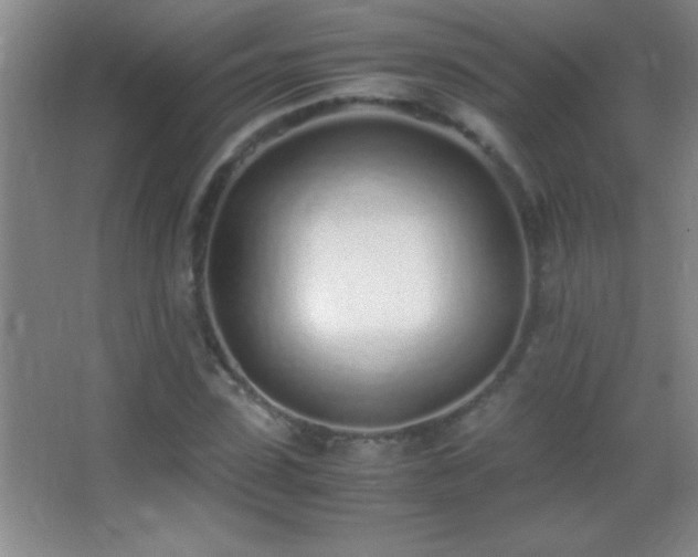 X0000062900923200601131356
