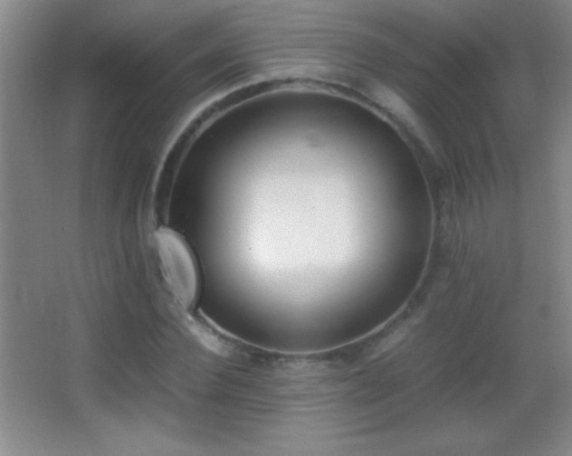X0000062900924200601131356