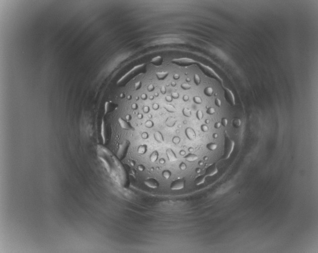 X0000062900929200601131356