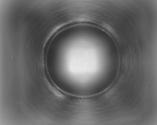 X0000062900934200601131356