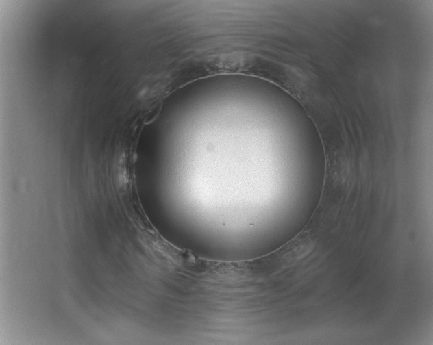 X0000062900962200601131356