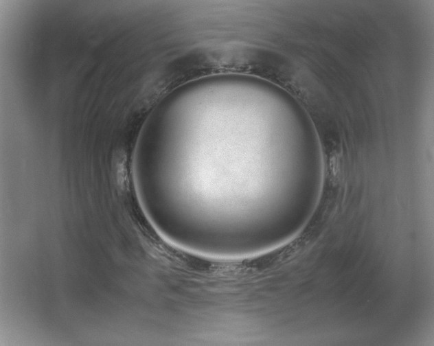 X0000062900963200601131356