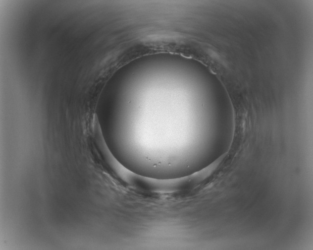 X0000062900965200601131356