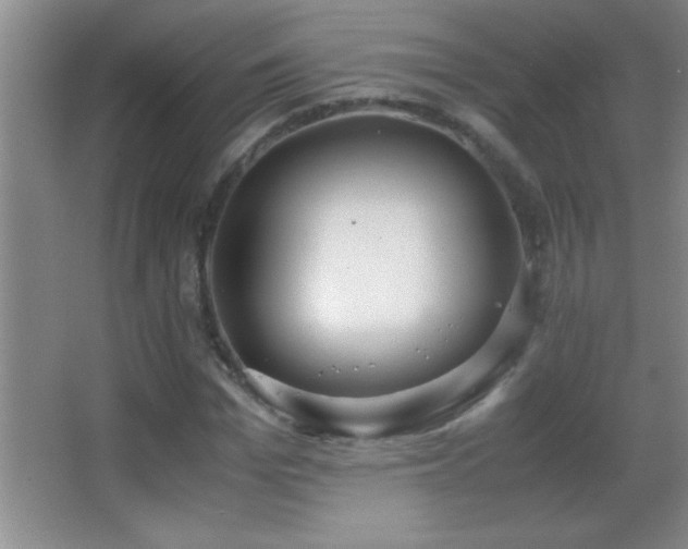 X0000062900969200601131356