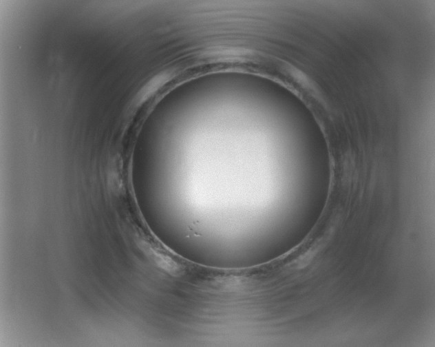 X0000062900970200601131356