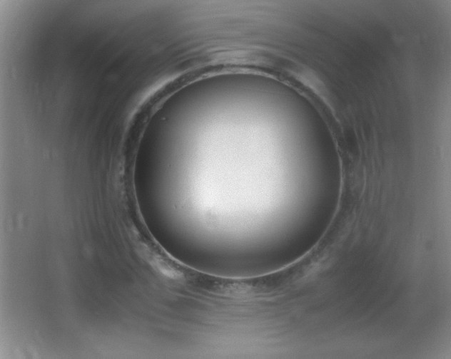 X0000062900971200601131356