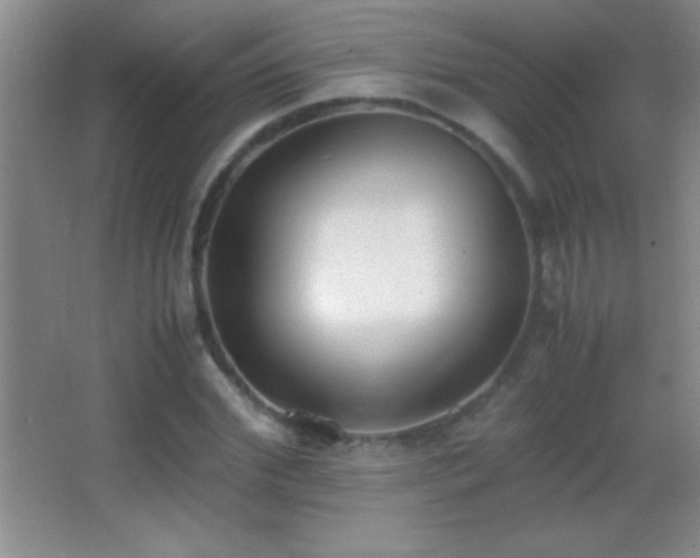 X0000062900972200601131356