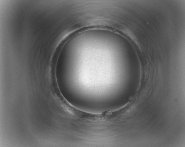 X0000062900975200601131356