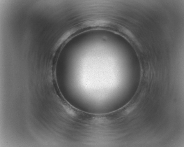 X0000062900978200601131356