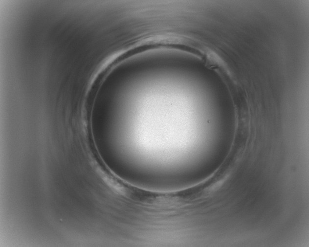 X0000062900981200601131356