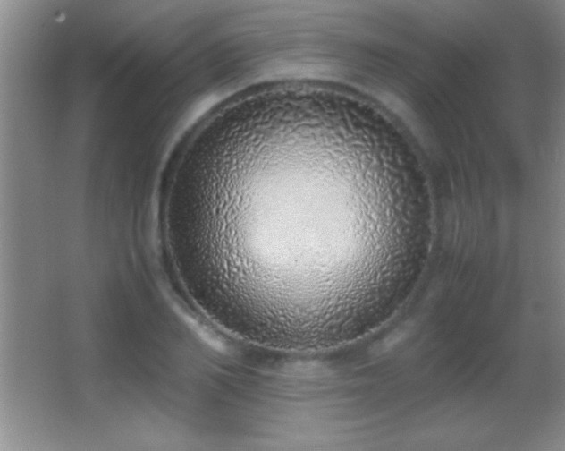 X0000062900982200601131356