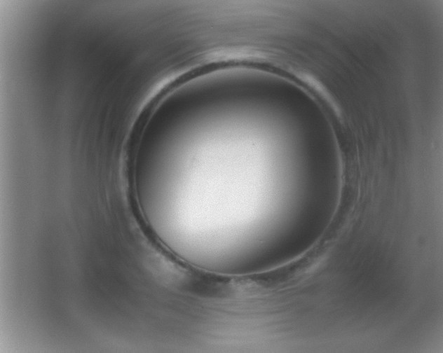 X0000062900983200601131356