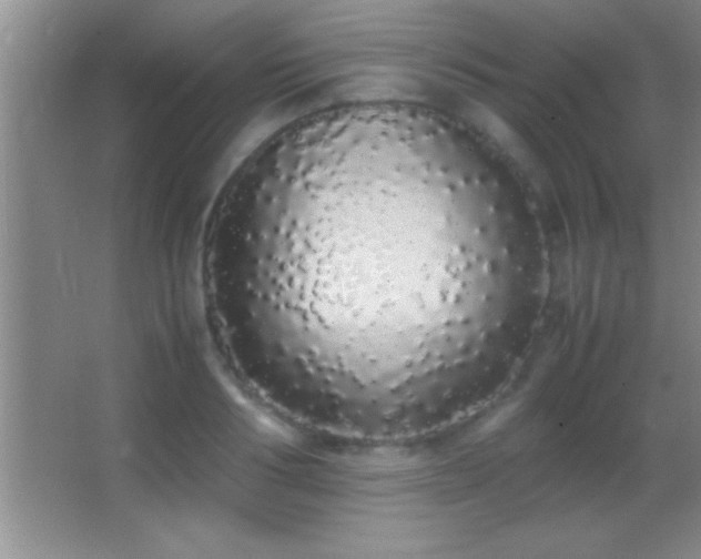 X0000062900986200601131356