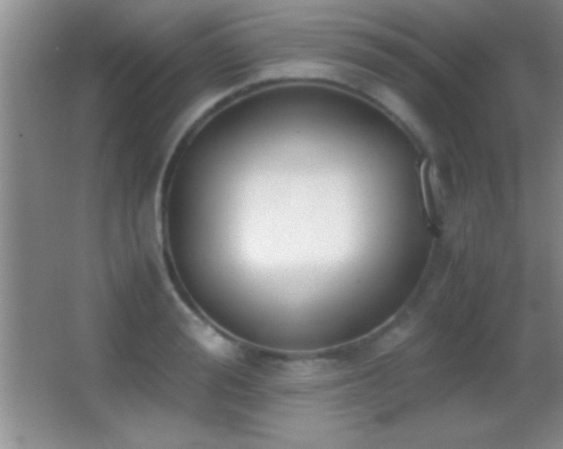 X0000062900988200601131356
