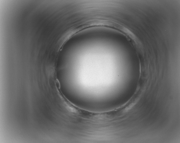 X0000062900993200601131356