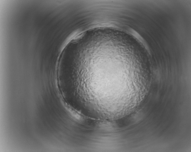 X0000062901002200601131355