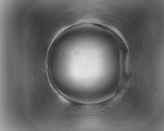 X0000062901005200601131355