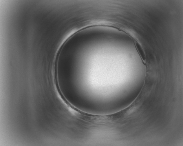 X0000062901007200601131355