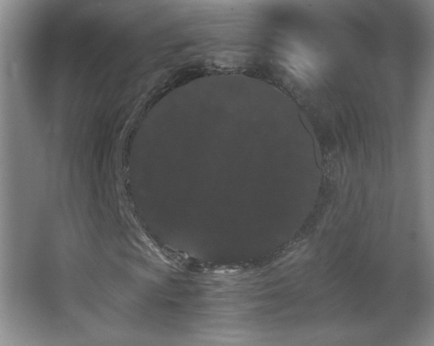 X0000062901009200601131354