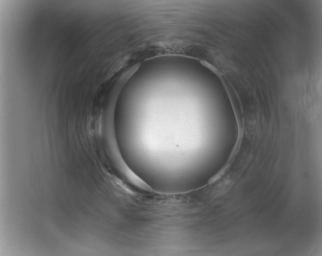 X0000062901010200601131354