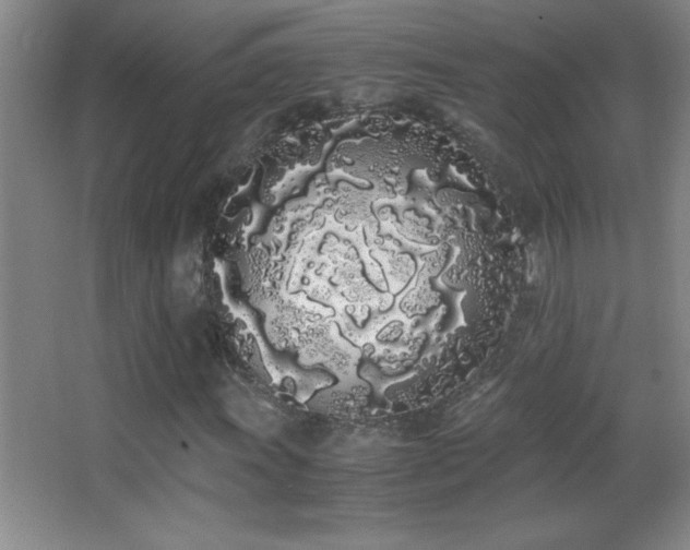 X0000062901011200601131354