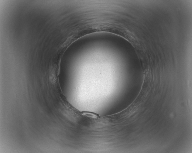 X0000062901012200601131355